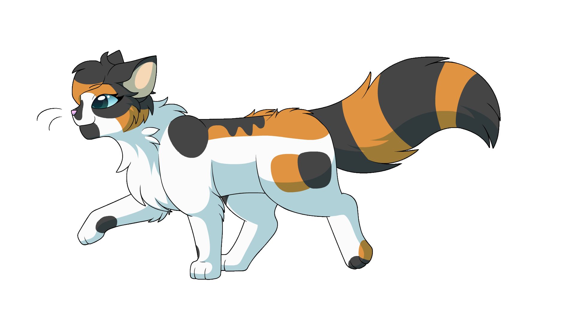 A calico colored cat walking