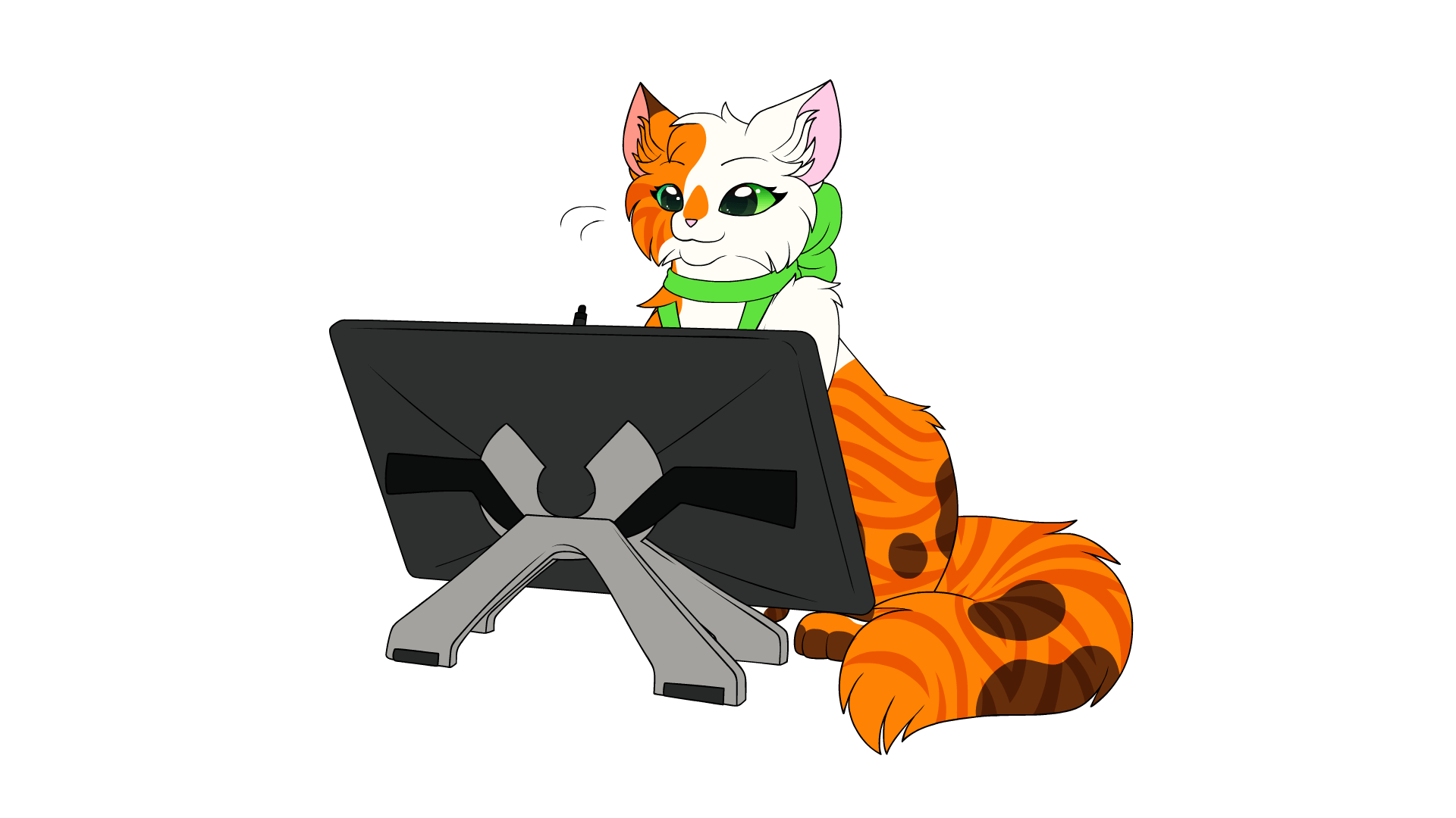 A calico colored cat walking